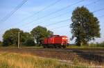 Lok 21 (203 113-6) WFL - Wedler & Franz Lokomotivdienstleistungen GbR als Lz bei Rathenow und fuhr evtl. nach Elstal. 25.07.2012