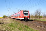 br-0425/491748/425-506-3-s-bahn-mittelelbe-als-s1 425 506-3 S-Bahn Mittelelbe als S1 (S 39049) von Wittenberge nach Schönebeck-Bad Salzelmen in Stendal. 21.04.2016