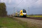 ET 445.112 (445 112-6) ODEG - Ostdeutsche Eisenbahn GmbH als RE4 (RE 84015) von Rathenow nach Ludwigsfelde, bei Nennhausen. 13.04.2014