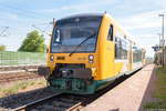 VT 650.739  Bad Saarow  (650 739-5) ODEG - Ostdeutsche Eisenbahn GmbH als RB34 (RB 63908) von Stendal nach Rathenow in Großwudicke.