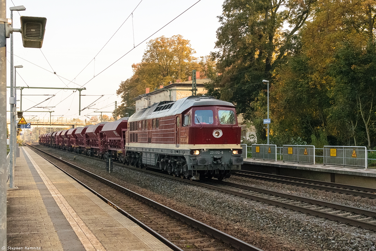 231 012-8 WFL - Wedler Franz Logistik GmbH & Co. KG mit einem Schotterzug in Friesack und fuhr weiter in Richtung Wittenberge. 15.10.2019