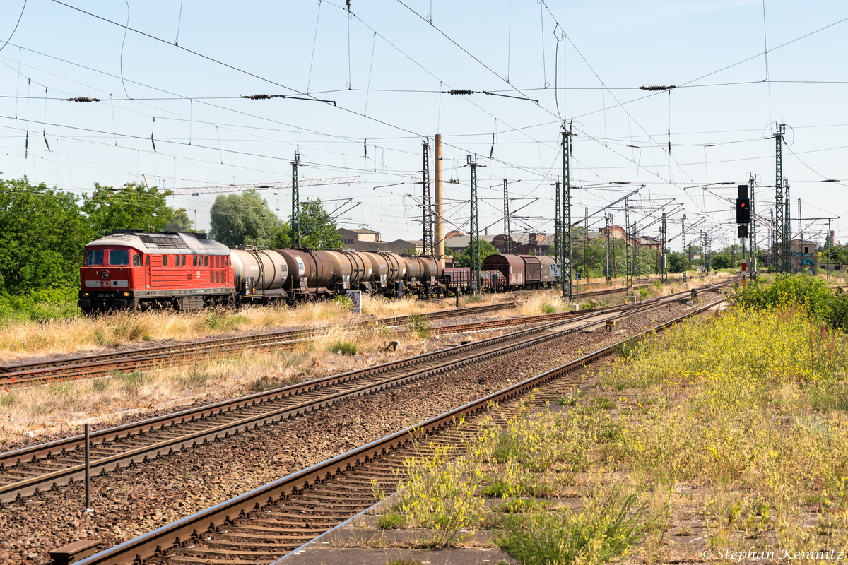 233 233-6 DB Schenker Rail Deutschland AG mit einem gemischtem Güterzug in Magdeburg-Neustadt und fuhr weiter in Richtung Hauptbahnhof. 17.06.2015