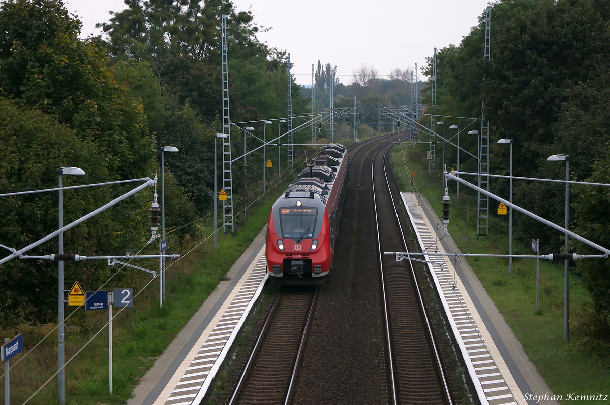 442 817-3 als RB20 (RB 28708) von Potsdam Hbf nach Oranienburg, bei der Durchfahrt in Marquardt. 02.10.2014