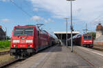 146 258-9, mit dem RE4 (RE 3150) von Stendal Hbf nach Falkenberg(Elster), in Rathenow. 11.08.2024