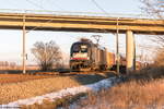 ES 64 U2 - 034 (182 534-8) MRCE Dispolok GmbH für Hector Rail AB mit dem Locomore (LOC 1819) von Berlin-Lichtenberg nach Stuttgart Hbf in Nennhausen. 17.01.2017
