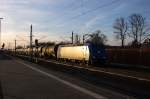 185 521-2 Alpha Trains fr RheinCargo GmbH mit einem Kesselzug  Umweltgefhrdender Stoff, flssig  (DGS 88847) von Hamburg Hohe Schaar nach Stendell PCK (Sdl) in Rathenow. 23.12.2013