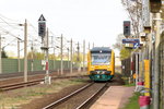 VT 650.739  Bad Saarow  (650 739-5) ODEG - Ostdeutsche Eisenbahn GmbH als RB34 (RB 68889) von Rathenow nach Stendal, bei der Einfahrt in Großwudicke. 20.04.2016