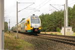 ET 445.104 (445 104-3) ODEG - Ostdeutsche Eisenbahn GmbH als RE2 (RE 63978) von Wismar nach Cottbus bei Friesack.