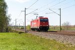 185 604-9 RheinCargo kam solo durch Nennhausen und fuhr weiter in Richtung Wustermark.