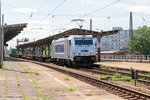 386 011-1 METRANS Rail s.r.o. mit einem Containerzug in Magdeburg-Neustadt und fuhr weiter in Richtung Biederitz. Netten Gruß an den Tf! 10.06.2016